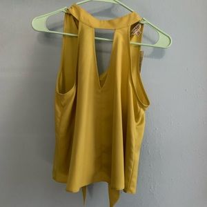 Chic Miss Selfridge Top